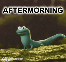 Lizard Standing On Rock Aftermorning GIF
