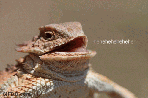 Lizard With Mouth Open Saying Henehenehenehene GIF