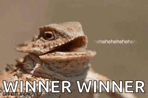 Lizard With Winner Winner GIF