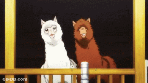 Llama Alpaca GIF