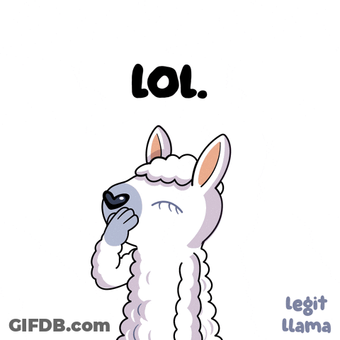Llama Covering Face Saying Lol GIF