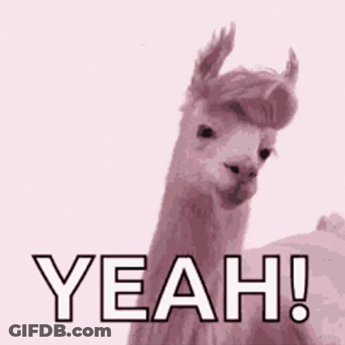 Llama GIF
