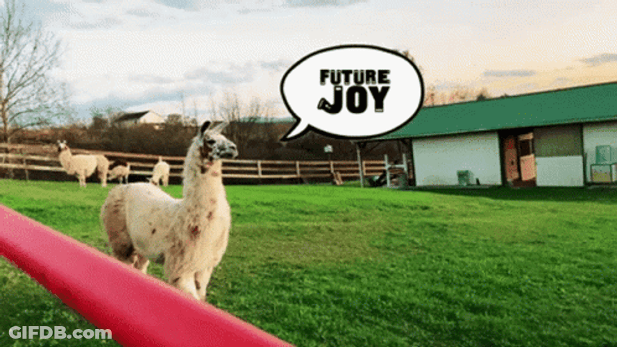Llama Future Joy GIF