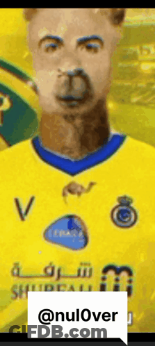 Llama In Yellow And Blue Jersey GIF