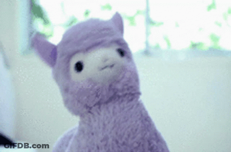 Llama Never Gonna Give Up GIF