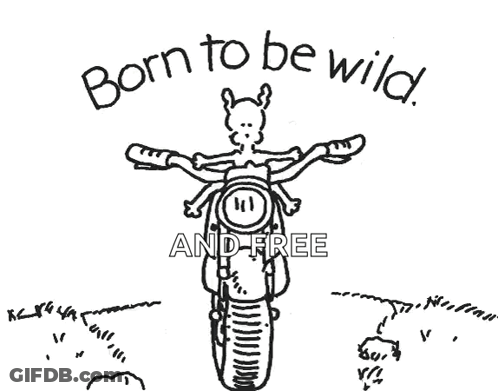 Llama On Motorcycle Born To Be Wild And Free GIF