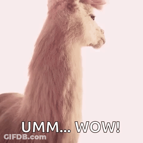 Llama Saying Umm Wow GIF