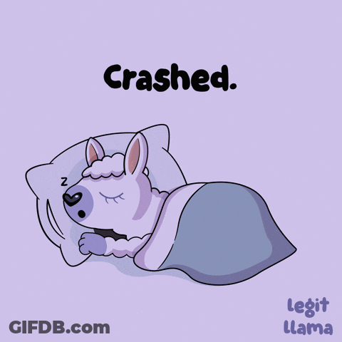 Llama Sleeping Under Blanket Crashed GIF