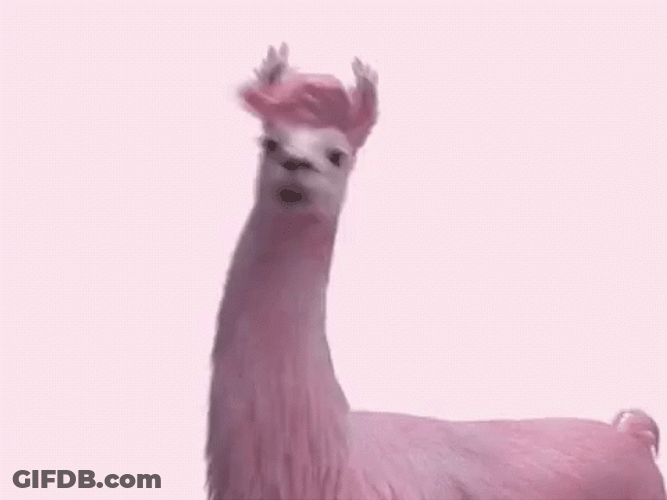 Llama Waving Head GIF