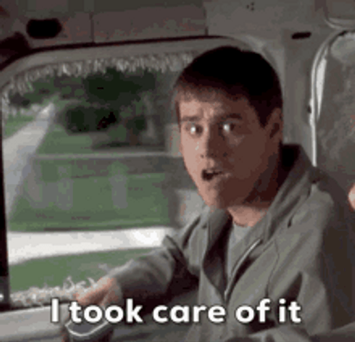 Lloyd Christmas Jim Carrey Took Care Of It GIF