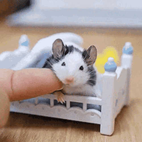 Lmouse GIF