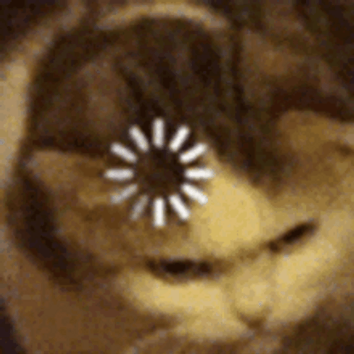 Loading Cat Memes GIF