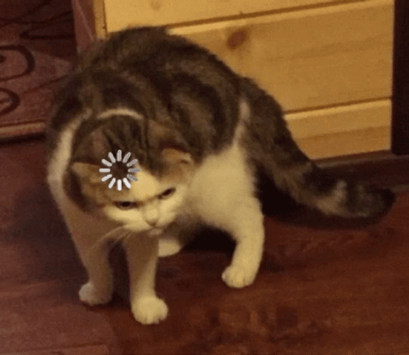 Loading Cat Thinking Meme GIF