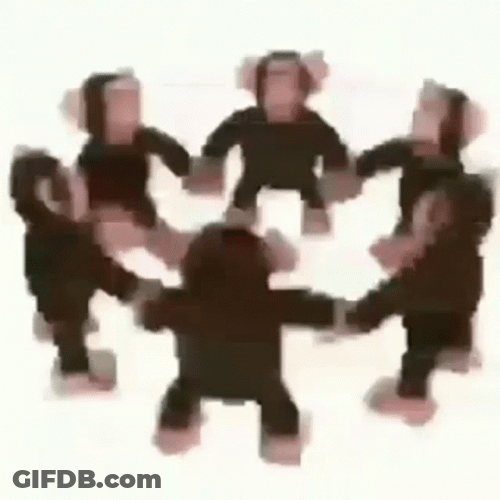 Loading Circle Spinning Monkeys GIF