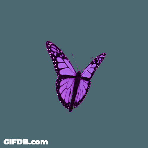 Loading Slow Butterfly Purple Aesthetic GIF
