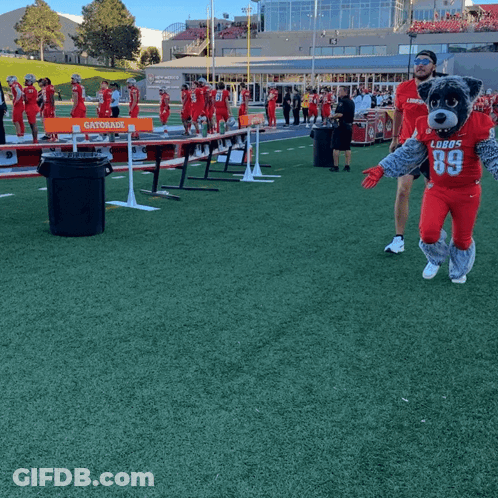 Lobos Football Mascot On Field GIF