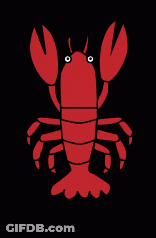 Lobster Eye Zoom Loop GIF