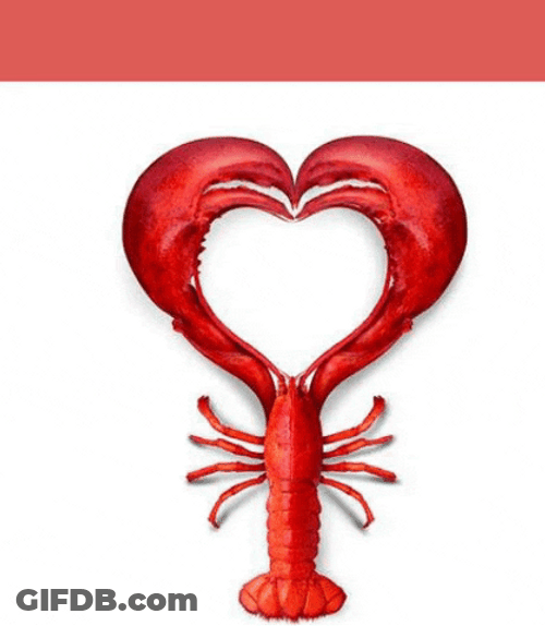Lobster Heart Non Stop Lob Heart GIF