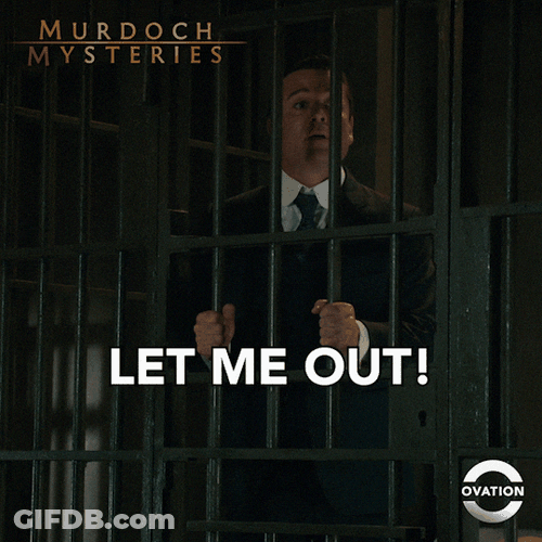 Locked In Detective William Murdoch Mysteries GIF