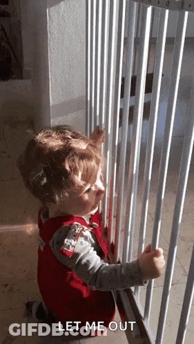 Locked Up Van They Won't Let Me Out GIF