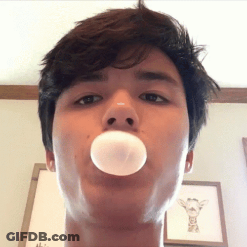 Lofe Blowing Bubble Gum GIF