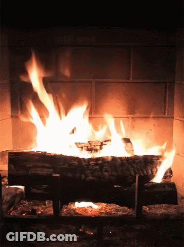 Log Burning In Brick Fireplace GIF
