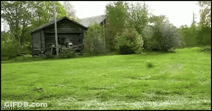 Log Cabin In Lush Green Field GIF