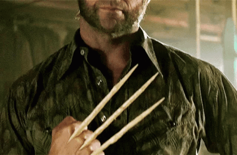 Logan Howlett X Men Origins Wolverine GIF