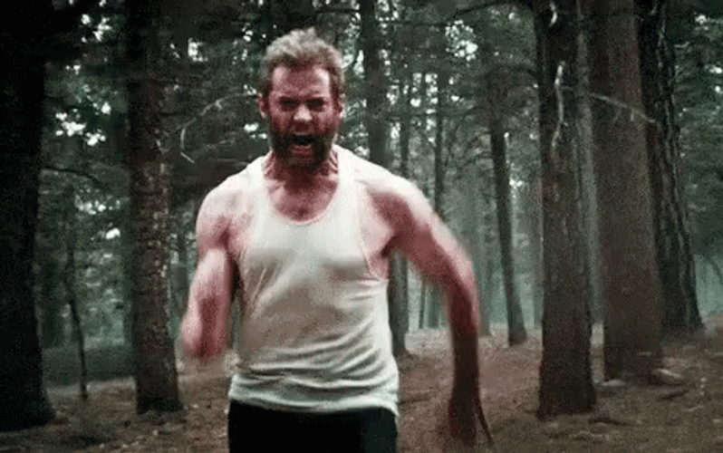 Logan Running In The Middle Of The Forest GIF