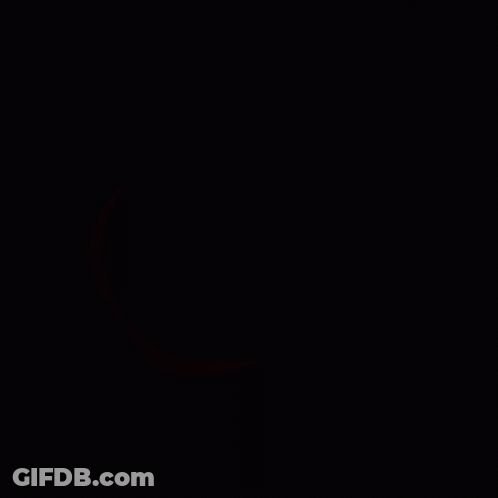 Logisz Logo Rainbow Circle GIF