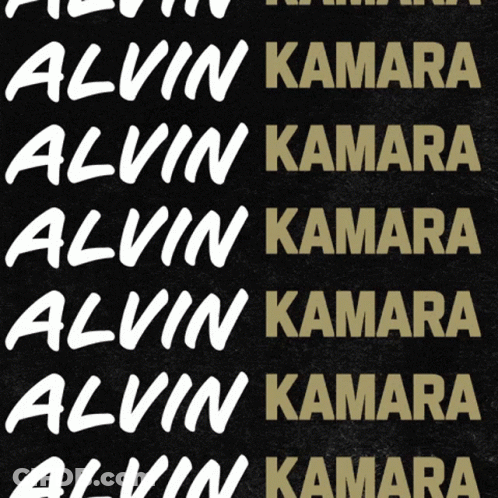 Logo For #41 Alvin Amara Black And Gold Background GIF