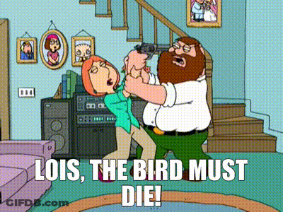 Lois The Bird Must Die Written On A Cartoon Scene GIF