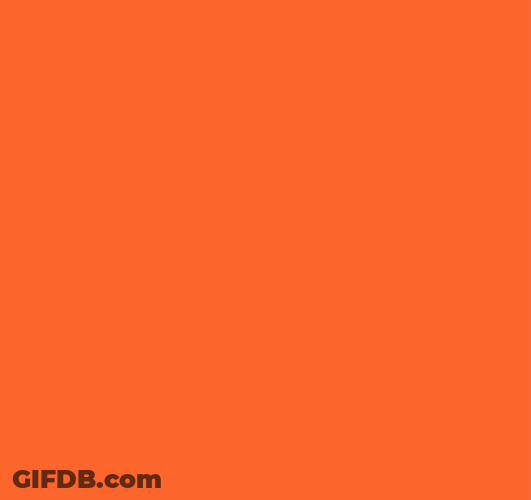 Lol Wut Animation GIF