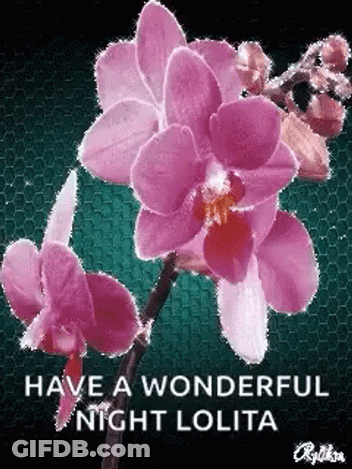 Lolita Flower Design GIF