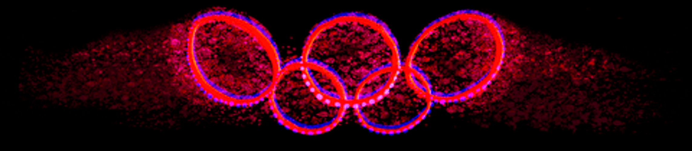 London 2012 Summer Olympic Rings GIF