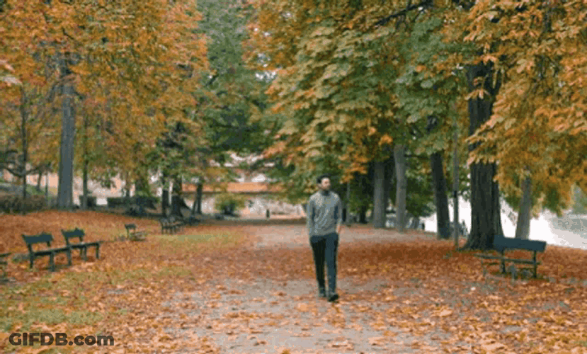 Lonely Walking Through The Park Contemplating GIF