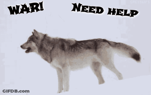 Lonelywolveswar GIF