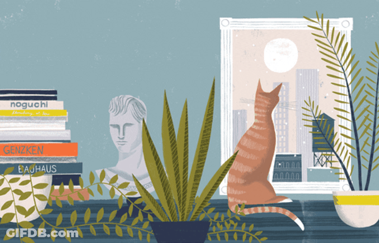 Loner Cute Cat Animated GIF