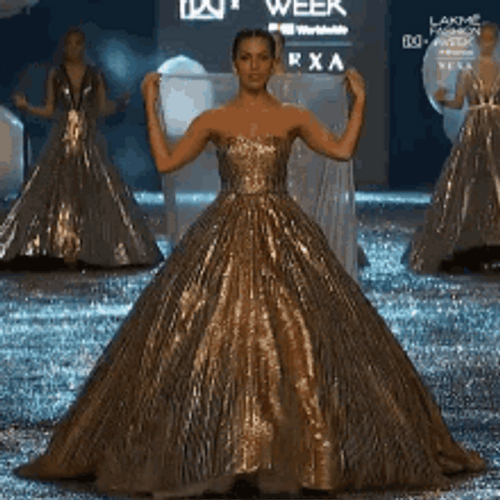 Long Gown Fashion GIF