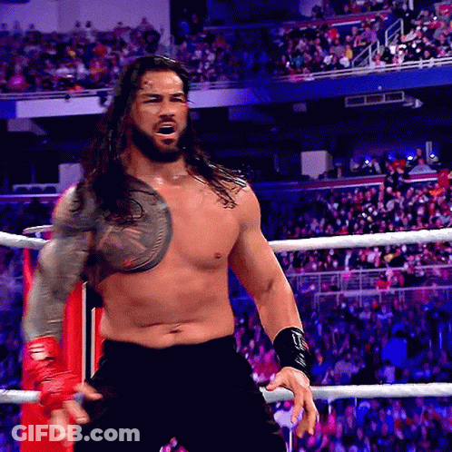 Long Haired Bearded Man In Wrestling Ring With Crowd GIF