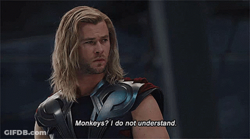 Long Haired Bearded Man Says Monkeys I Do Not Understand GIF