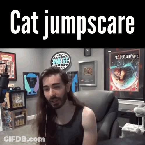 Long Haired Man Sitting In Chair Cat Jumpscare GIF