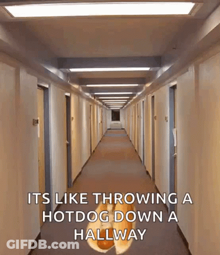 Long Hallway Saying It's Like Throwing A Hotdog Down A Hallway GIF