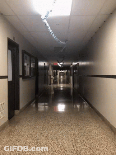 Long Hallway With Red Exit Sign GIF