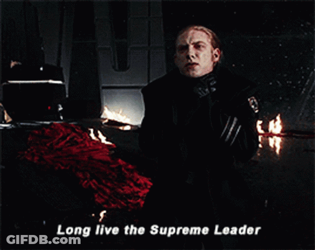 Long Live Supreme Leader Kylo Ren GIF