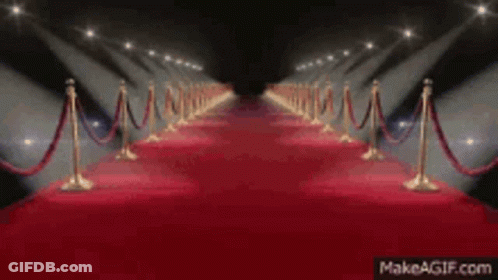 Long Red Carpet With Rope Barrier And Spotlights GIF