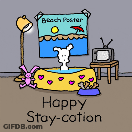 Long Weekend Chippy On Staycation GIF