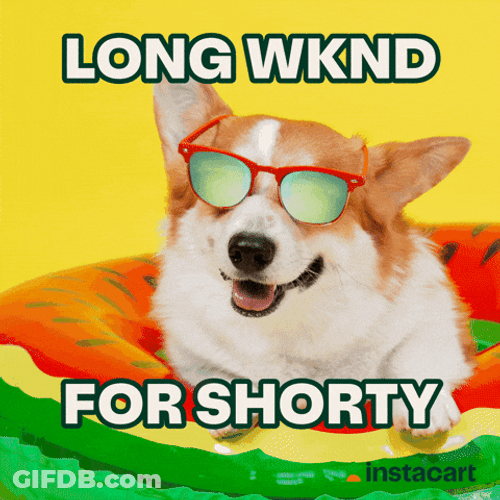 Long Weekend For Shorty On The Floaties GIF