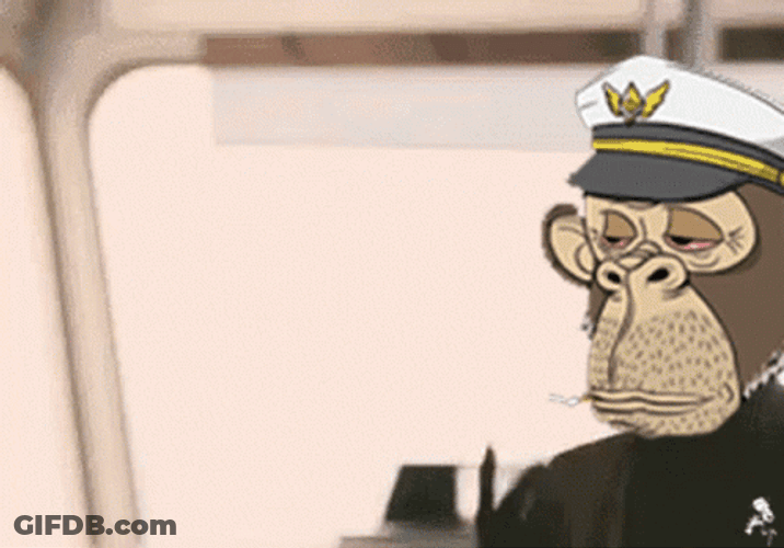 Look At Me I Am The Captain Now Monkey GIF