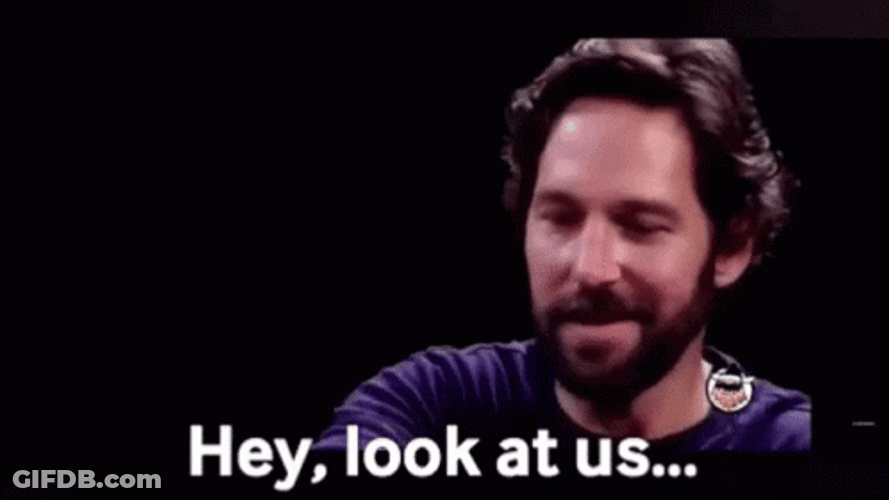 Look At Us Paul Rudd GIF